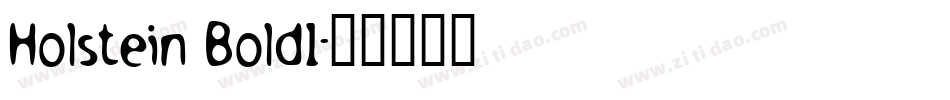 Holstein Bold1字体转换